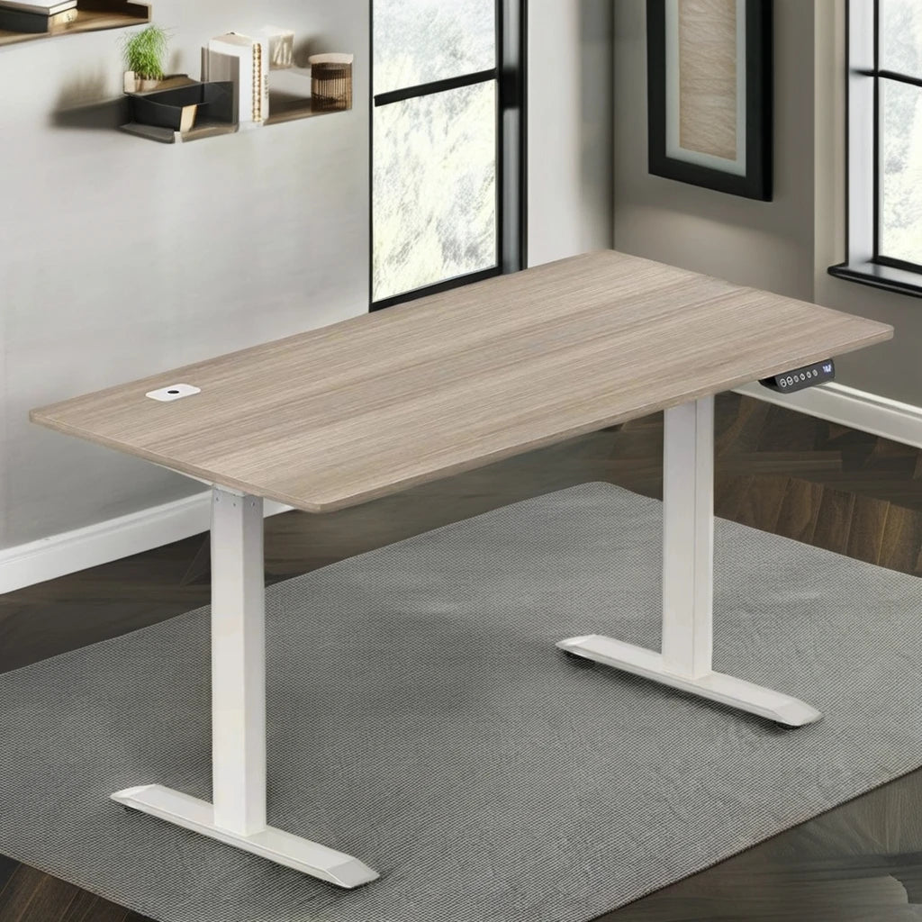 Ergonomic Height Adjustable Electric Standing Desk