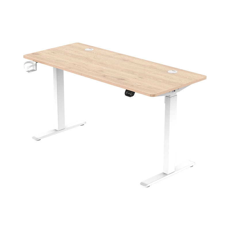 Ergonomic Height Adjustable Electric Standing Desk